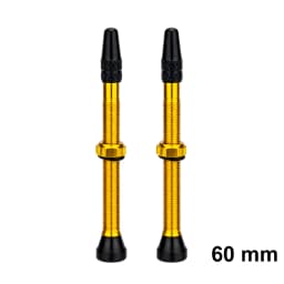 ZTTO Bicycle Tubeless Valves Stems 60mm Presta 40mm No Tubes FV With Integrated Valve Core for Road bike MTB Tire