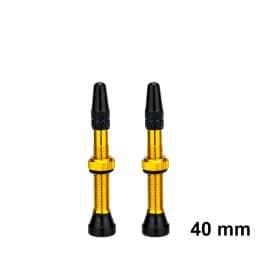 ZTTO Bicycle Tubeless Valves Stems 60mm Presta 40mm No Tubes FV With Integrated Valve Core for Road bike MTB Tire