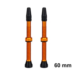 ZTTO Bicycle Tubeless Valves Stems 60mm Presta 40mm No Tubes FV With Integrated Valve Core for Road bike MTB Tire