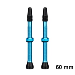 ZTTO Bicycle Tubeless Valves Stems 60mm Presta 40mm No Tubes FV With Integrated Valve Core for Road bike MTB Tire