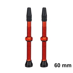 ZTTO Bicycle Tubeless Valves Stems 60mm Presta 40mm No Tubes FV With Integrated Valve Core for Road bike MTB Tire
