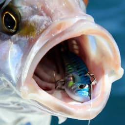 Metal Jig VIB Lure 7g 10g 15g Spoon Spinner Color Spinning Fishing Tackle Treble Hooks Swimbait Pesca Bait Spinnerbait VIBRATION