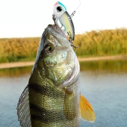 Metal Jig VIB Lure 7g 10g 15g Spoon Spinner Color Spinning Fishing Tackle Treble Hooks Swimbait Pesca Bait Spinnerbait VIBRATION