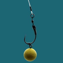 10pcs Carp Fishing Hook Worth to try Carp hooks Krank Size 2 4 6 8