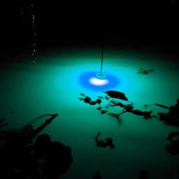 Mini Fishing Attraction Lamp Glowing Lure LED Flashing Fishing Light Squid Bait Fishing Tools