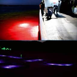 Mini Fishing Attraction Lamp Glowing Lure LED Flashing Fishing Light Squid Bait Fishing Tools