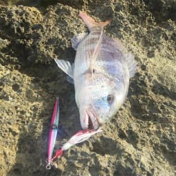 10PCS Rubber Squid Skirts 8cm 10cm 12cm Octopus Soft Fishing Lures Tuna Sailfish Baits Mix Colors