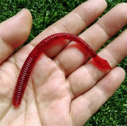 MUKUN 10PCS Stick Soft Bait 10cm 2.3g Silicone Worm Sinking Minnow Swimbait Wobblers Freshwater Bass Pike Soft Fishing Lures