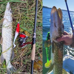 ESFISHING Fishing Lures Big Hog Shad 150mm Soft lure Swimbait Carp Fishing Artificial bait For Perch Pike Bass