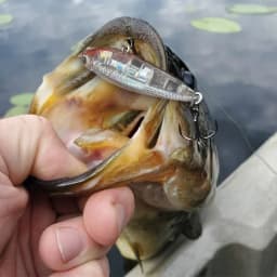 Floating Pencil Bait 17.5g 10cm Topwater Walk The Dog Fishing Lure 3D Swimbait Hook Popper Pesca Wobbler Minnow Rattle Cranbait
