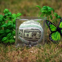 Acrylic Baseball Display Case Clear Memorabilia Storage Case Holds 1 Standard Size Baseball Suitable For Collector Organizer