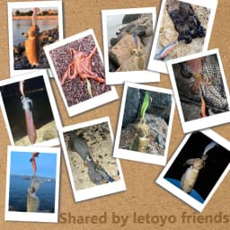 LETOYO 2.5# 3.0# 3.5# squid bait Luminous squid Jig Fishing Lure Artificial bait For Webfoot Octopus Cuttlefish sea fishing lure