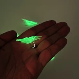 20Pcs Luminous Soft Shrimp Lures Silicone Artificial Bait Simulation Prawn with Hooks Carp Wobbler for Fishing Tackle Lure Carp