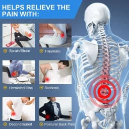 Bionic Spine Design Back Brace for Lower Back Pain, Lumbar Support Belt for Sciatica & Herniated Disc Relief for Men & Women