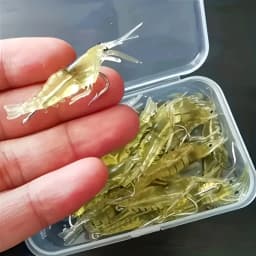 This Is a Set That Includes 1 Box Artificial Bait and Hook Fishing Equipment, Very Suitable for Fishing Enthusiasts