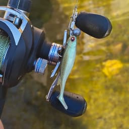 SUNMILE 2025 New Soft Bait 6.5CM Swimbait for Bass Pike Zander Snook Perch Fishing Lures with 3D EYES JIG Head Rig Soft Lure