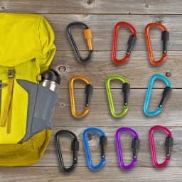 ZHUOHUA Carabiner Clips with Screw Gate,10 Pcs 3" Aluminum Carabiner D Shape Buckle Pack,Keychain Clip,Spring Snap Hook Buckle