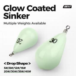WEIHE  Size8#30g Size16#60g Size20#75g Size30#112g Size35#130g Size40#150g Luminous Lead Sinker With Soft Plastic Shell