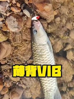 NEW 1PC Metal VIB Fishing Lures 5g 7g 10g 15g Metal Jig Crankbait Wobbler Vibration Baits Pesca Tackle for Trout Bass Pike Perch