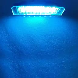 2PCS LED Car License Number Plate Light Lamps Canbus Error Free For VW Golf 4 1997-2005 Automobiles Parts Accessories