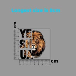 Fashion Letter Lion Animal Heat Transfer Patches For Clothes DIY A-Level Washable T-shirts Iron-on Thermal Stickers