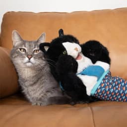 Cat Pet Toy Gloves Interactive Cat Wrestling Puppet Toys - Fun Play Gloves, for Cats Wrestle Play, Pet Supplies