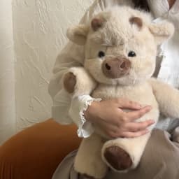 45/60CM Kawaii Cute Highland Calf Doll Running Little Cow Su Plush Toy Companion Toy Holiday Birthday Gift Decorative Ornament