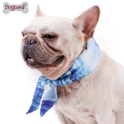 Dogs Ice Cool Neck Bandana Instant Cooling Pet Breathable Scarf Summer Ice Cooling Scarf Collar Prevent Heatstroke Pet Supplies