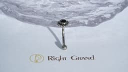 Right Grand ASTM F136 Titanium 16G Flower Rook Earring with Semi Precious Stone Eyebrow Curved Barbell Earring Piercing Jewelry