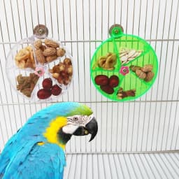 Rotate Pet Parrot Toys, Wheels, Bite Chewing, Foraging Food Box, Cage Feeder, Birds Accessories
