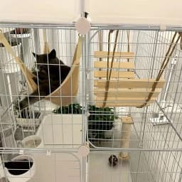 Natural Wood Cat Climbing Ladder Bridge Tree Versatile for Cages Wardrobes Ideal for Playful Kittens Pet Furniture Accessories