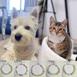 Colorful Pearl Dog Necklace Collar Fashion Jeweled Puppy Cat Collar Candy Color Dog Choker Pet Accessories Supplies