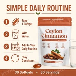 Ceylon Cinnamon Softgels Blood Sugar Metabolism Antioxidant Defense with Cinnamon Extract MCT Oil 7200 mg Equivalent 30 Softgels