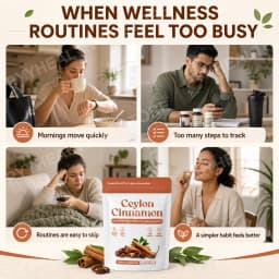 Ceylon Cinnamon Softgels Blood Sugar Metabolism Antioxidant Defense with Cinnamon Extract MCT Oil 7200 mg Equivalent 30 Softgels