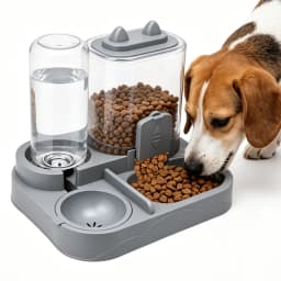 Automatic Pet Food and Water Feeder Large Capacity 2 in 1 Automatic Feeder Dog Cat Food Bowl with Water Fountain Pet Supplies