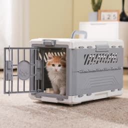 Foldable Pet Carrier, Collapsible Cat Dog Travel Crate with Secure Lock Door, Anti-Slip Mat, Portable Small Animal Kennel for Travel