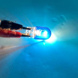 T20 W21W 582 7440 T20 W21/5W 580 7443 21/5W Sidelight Car Bulb Halogen Lamp Warm White Blue Red Warning Light Turning Auto Bulb