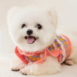 Dog Winter Clothes Puppy Warm Dog Sweater Chihuahua French Bulldog Overalls for Dogs Pet Coat Samll Dog Jersey New 2026 Clothing
