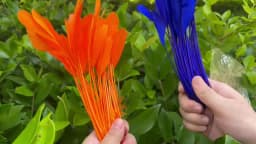 10/20/50/100PCS Colorful Goose Feathers 15-20CM Dyed Goose Plumes for DIY Crafts Wedding Carnival Party Home Vase Decor Plumage