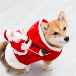 Santa Claus French Bulldog Pet Costume for Small Medium Dogs Christmas New Year Puppy Dog Clothes Pug Outfits mascotas Clothing