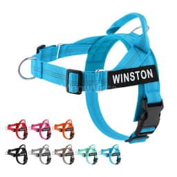 Personalized No Pull Dog Harness with Name Patch Escape-Proof Adjustable Reflective Soft Padded Dog Vest for Training Walking
