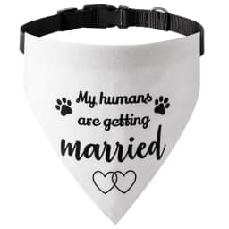 Solid Dog Saliva Towel Fashion Dog Bandanas Adjustable Puppy Triangle Cotton Cat Neckerchief Pet Collars Chihuahua Pet Supplies