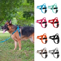 Personalized Reflective No Pull Harness for Small Medium Dog Washable Explosion-proof Comfort Dog Harnesses Pechera Para Perro