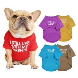 Letter Printed French Bulldog Shirt Cozy Cotton Stretch Pet Dog Clothes for Chihuahua Summer Pug T-shirts Yorkshire Cat Clothing