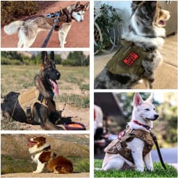 Military Large Dogs Harness Leash Molle Pouches Pet Golden Retriever Training Vest Tactical Harnesses For Dog Accessories