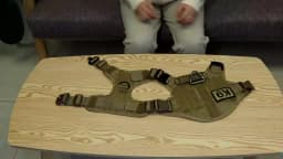 Military Large Dogs Harness Leash Molle Pouches Pet Golden Retriever Training Vest Tactical Harnesses For Dog Accessories