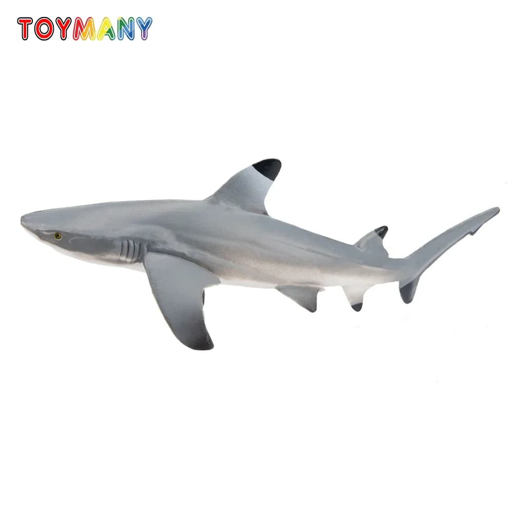 Toymany Simulation Blacktip Reef Shark Ocean Animal Model Toy Mini Figures Dolls Action Figurines Toys for Children Gift