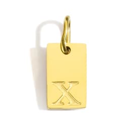 CARLIDANA A-Z Stainless Steel Polished Square Gold Color Pendant Hang Letters DIY Bracelet Pet Collar Necklace Jewelry Making