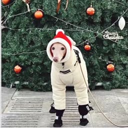 Winter Dog Jacket,Thickened Warm Dog Clothes Outfits,Big Dogs Down Jacket For Cold Weather,Full Cover For Neck-Greyhound Whippet