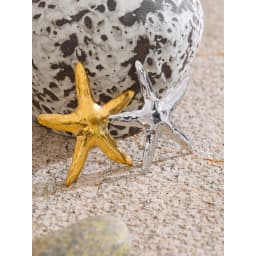 Yhpup 2025 Waterproof Smooth Stainless Steel Metal Starfish Brooches Pin Ocean Style Texture Clothing Accessories Wholesale
